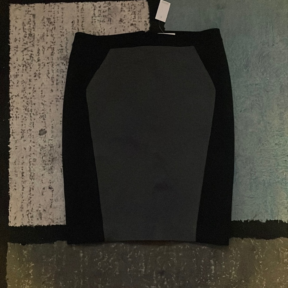 NWT loft pencil skirt size 10